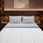 Completo Lenzuola Matrimoniali in Pile Flannel Termico Extra Caldo | Set Letto Invernale Super Morbido 4 Pezzi VAR. F101