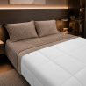 Completo Lenzuola Matrimoniali in Pile Flannel Termico Extra Caldo | Set Letto Invernale Super Morbido 4 Pezzi VAR. F103