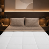 Completo Lenzuola Matrimoniali in Pile Flannel Termico Extra Caldo | Set Letto Invernale Super Morbido 4 Pezzi VAR. F103
