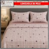 Offerta Quantità: 2 Set Lenzuola di Pile Matrimoniali Calde – Completo Letto Invernale in Microfibra Termica | 304