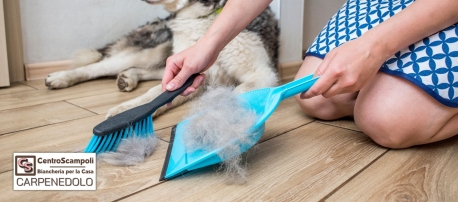Come combattere i peli e gli odori degli animali domestici: guida completa per una casa pulita e profumata